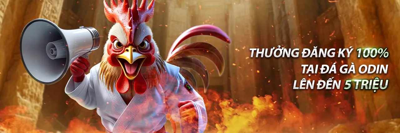 Hình ảnh minh họa chính sách bảo mật của sv368, tập trung vào bảo vệ dữ liệu và an ninh mạng.